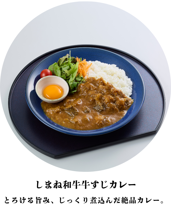 しまね和牛牛すじカレー